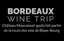 Bordeaux Wine Trip