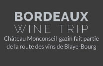 Bordeaux Wine Trip